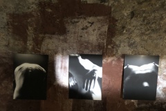 Fotografijų paroda „Beribė erdvė“. Kultūros naktis 2021. M. K. Čiurlionio namų rūsio patalpose
