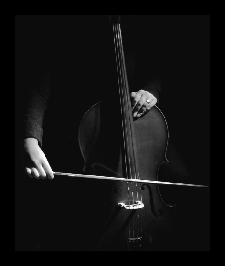 Kamerinės muzikos koncertas "Kai prabyla muzika..."